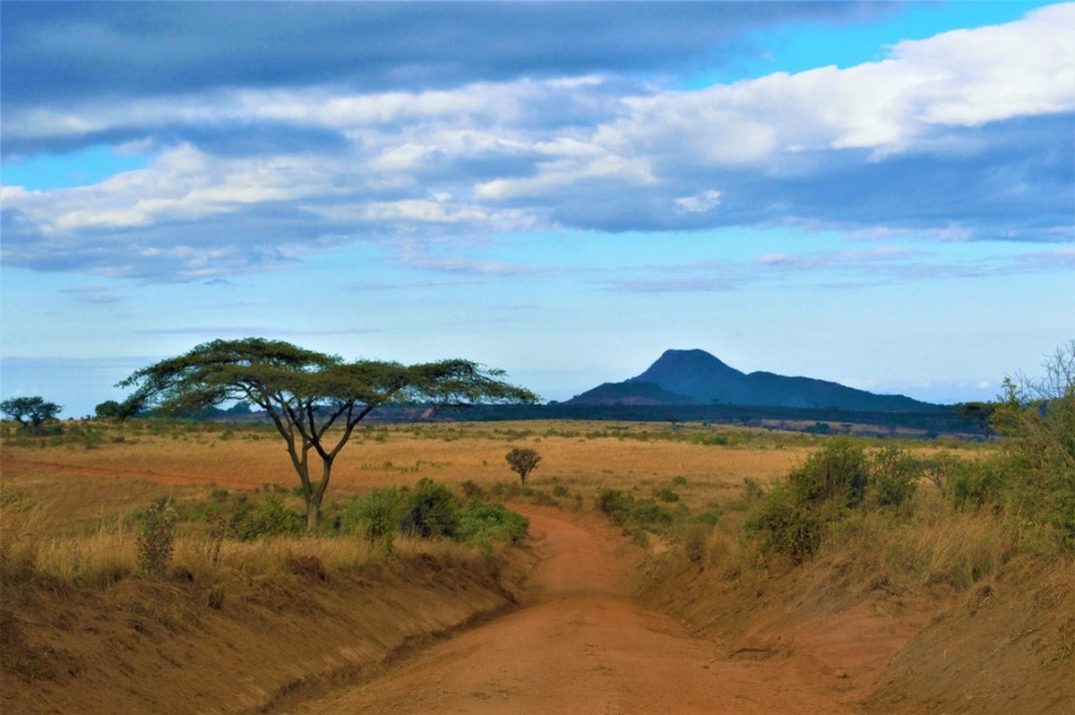 malawi