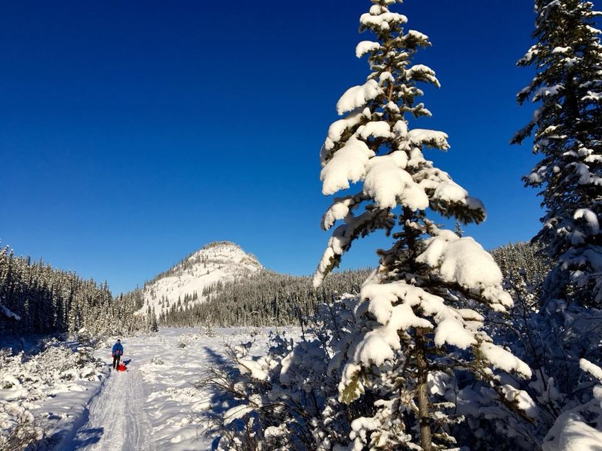 Yukon Arctic Ultra Jethro De Decker