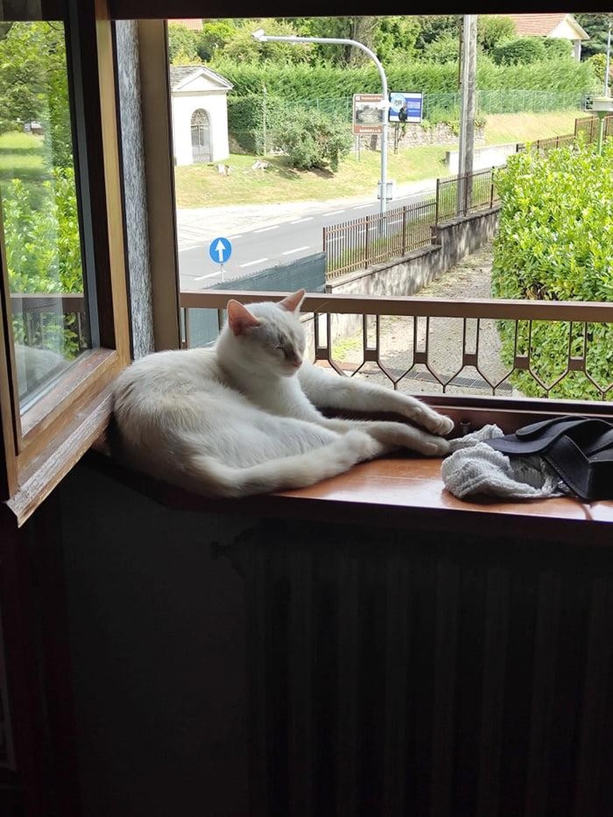 cute news tier katze

https://www.reddit.com/r/CatsBeingCats/comments/1ewt52y/this_guy_showed_up_from_nowhere_yesterday_and_act/