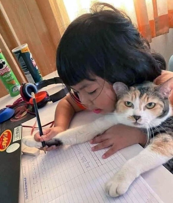 Faildienstag: Hausaufgabe mit Katze