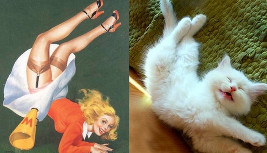 13 Katzen, die besser posieren als jegliche Pin-up-Girls