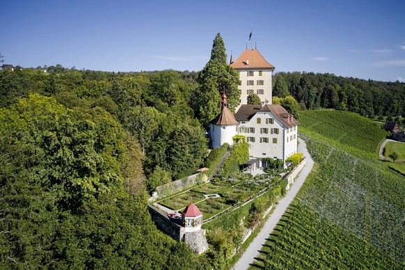 Schloss Heidegg