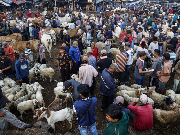 epa10056387 People gather to buy livestock ahead of the Muslim festival of Eid al-Adha at a traditional livestock market in Bogor, West Java, Indonesia, 07 July 2022. Eid al-Adha is one of the holiest ...