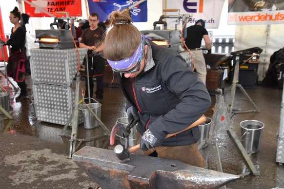 Laureen Michod – Hufschmied/-in EFZ – Maréchal-ferrant CFC – Maréchale-ferrante CFC – Fabbro-maniscalco AFC / Fabbra-maniscalca AFC
Bildungszentrum Aarberg – Centre de formation Aarberg – Centro di fo ...