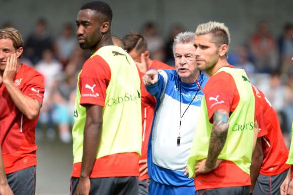 Djourou und Behrami konnten mittrainieren.