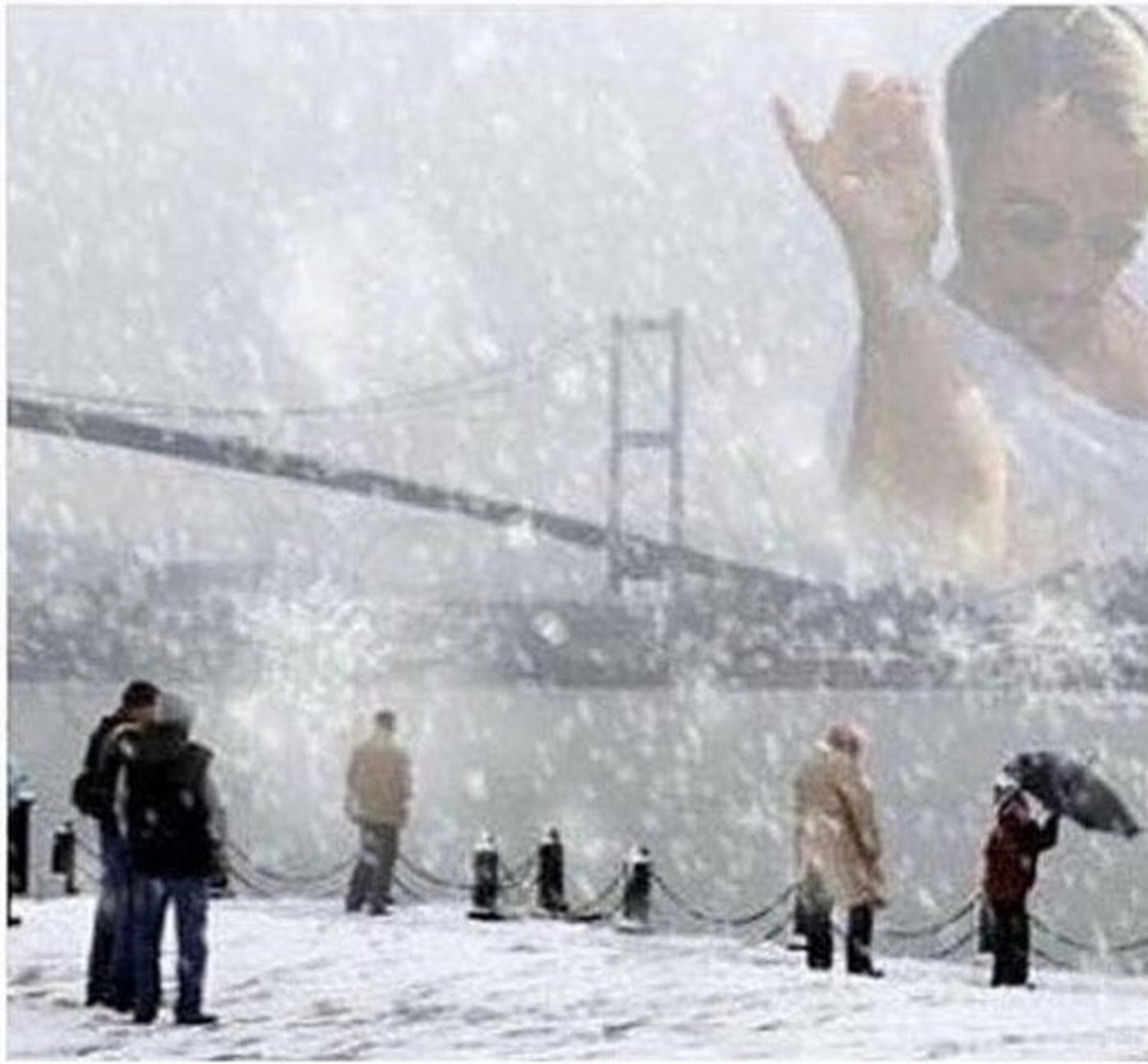 Winter Memes