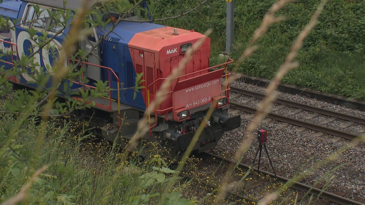 Aus ungeklärten Gründen kam es zu einer Kollision mit einer Rangier-Lokomotive.