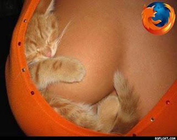 9 Beispiele von Logos, die sich in den letzten Jahren verändert haben\nBestes Firefox Logo, leider nie officiel