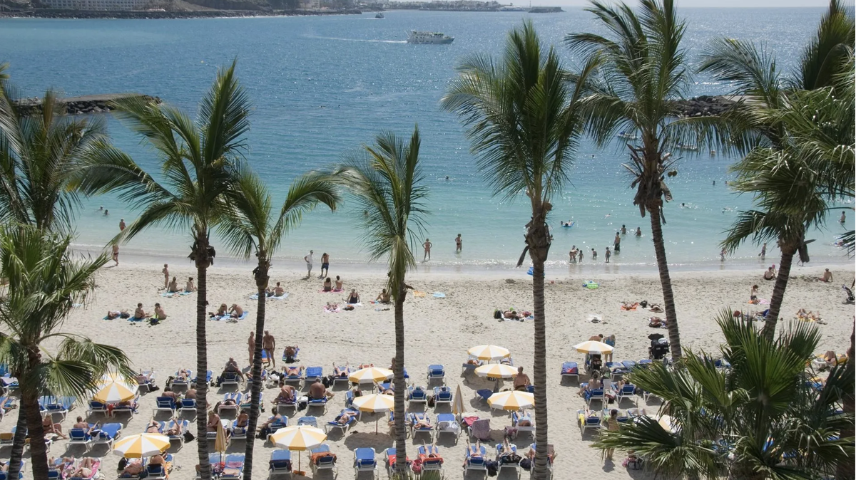 Patalavaca: Les palmiers créent une ambiance caribéenne.
