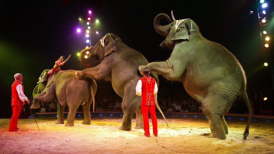 ZUR MELDUNG, DASS DER CIRCUS KNIE IN DER KOMMENDEN SAISON AUF ELEFANTEN IN DER MANEGE VERZICHTET, STELLEN WIR IHNEN FOLGENDES THEMENBILD ZUR VERFUEGUNG - Franco Knie, left, and Franco Knie Jr., right, ...