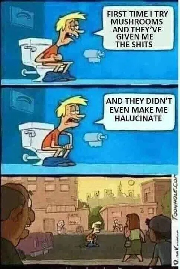 Wer fertig mit PICDUMP schauen ist, kriegt 1 Guezli! Hopp!\nÜberall hets Pilzli dra...