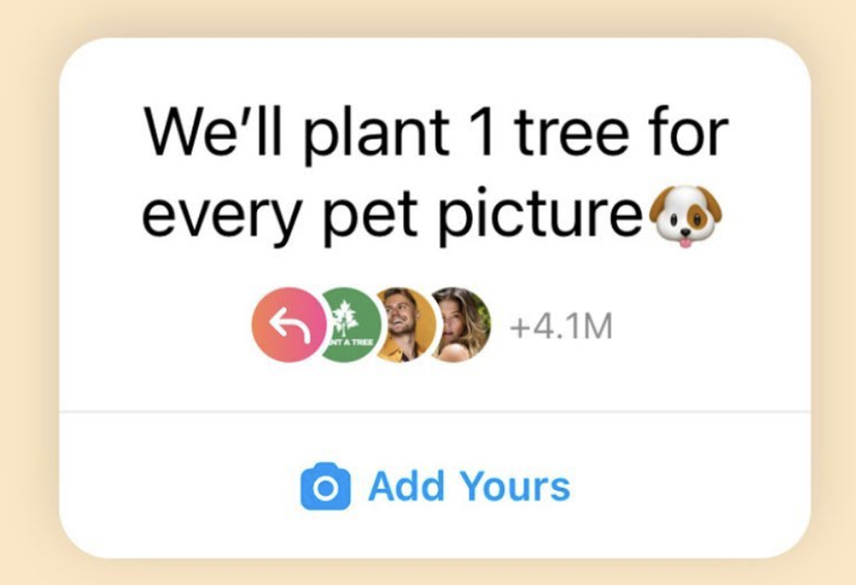 instagram trend