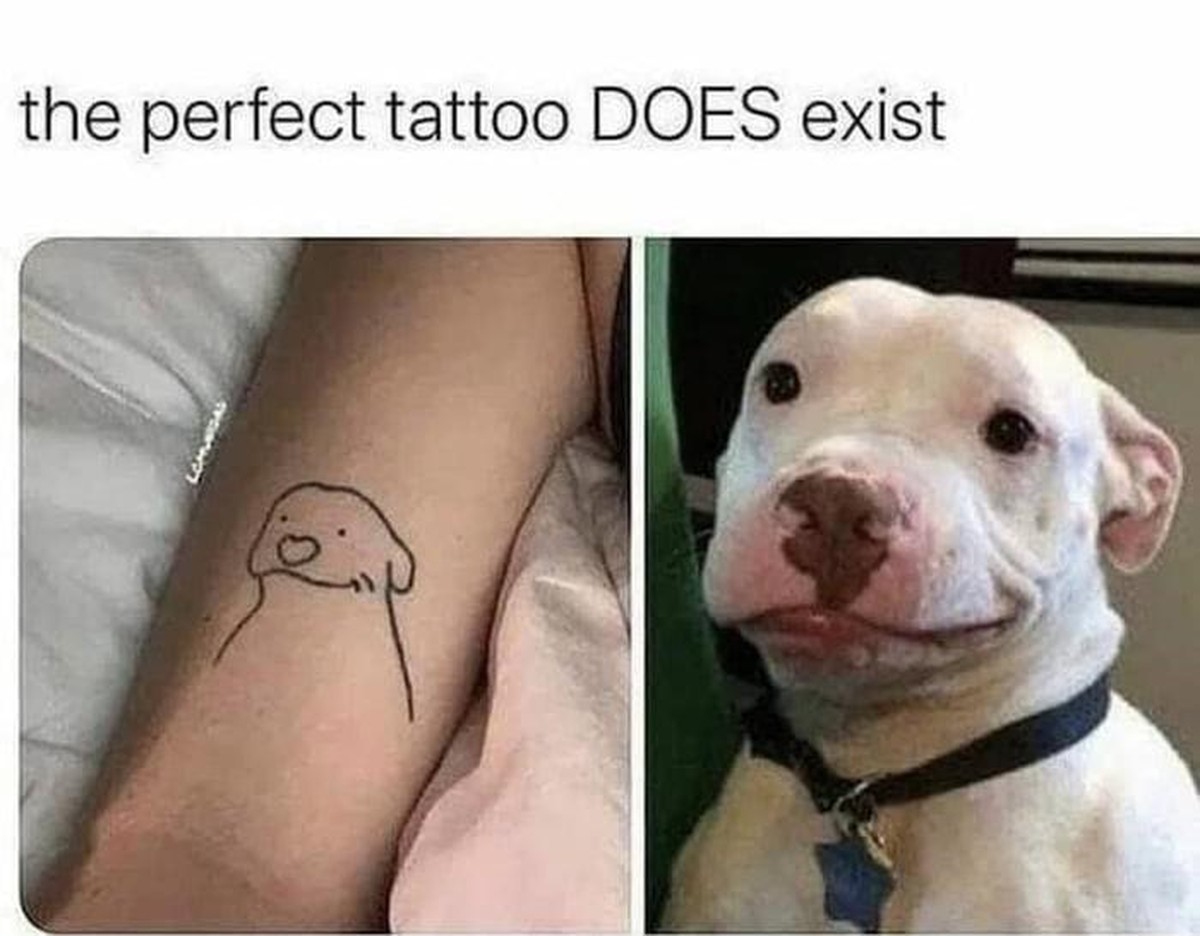 PICDUMP 409 вЂ“ alle versammeln, es geht los!\nAaah рџђ¶