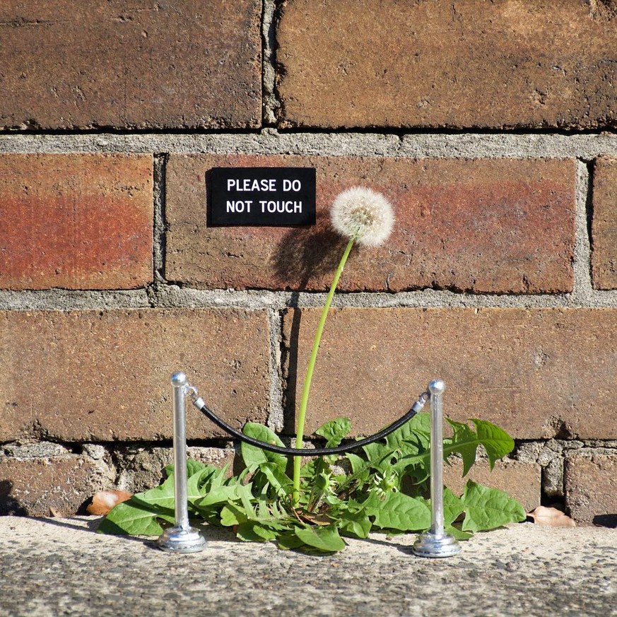 https://www.instagram.com/miguelmarquezoutside/ ironic street art sydney australien