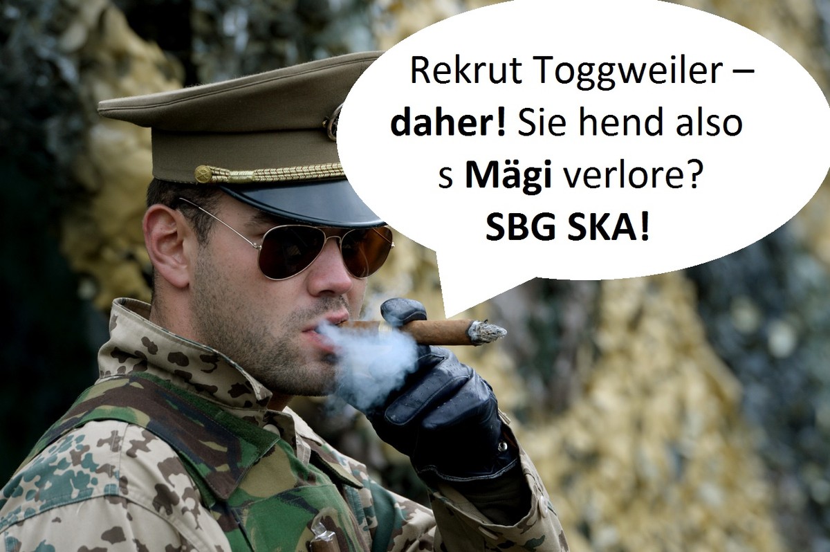 Eine improvisierte und nicht nationalisierte Strassensperre in einem beliebigen Einsatzgebiet aufgenommen anlaesslich des "Tag der offenen Tuer" zum 25 jaehrigen bestehen der Schweizer Betei ...