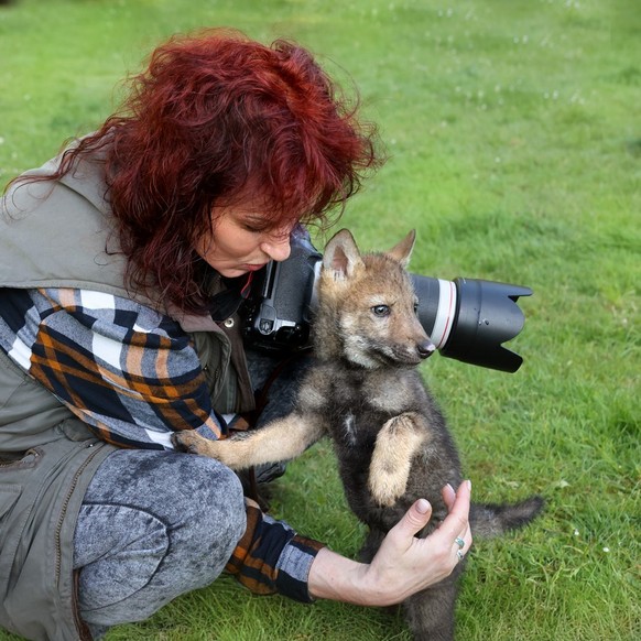 cute news tier fuchs

https://www.instagram.com/p/C-xIceAKGze/