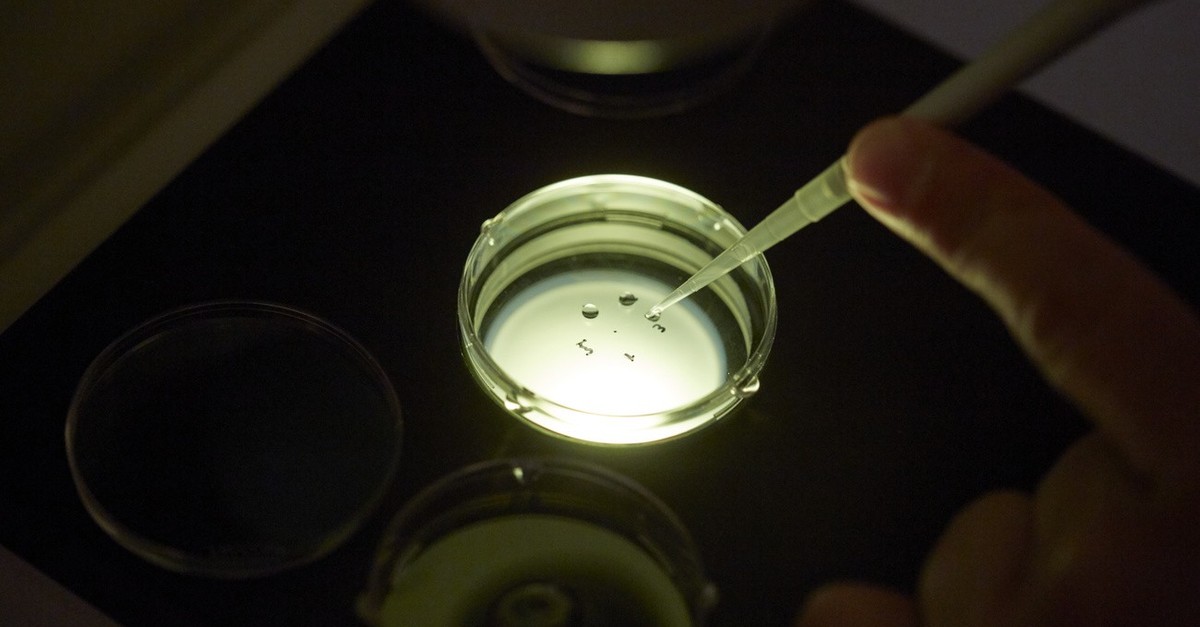 Forscherin-entwickelt-Verj-ngungscocktail-f-r-alternde-Eizellen-der-Frau