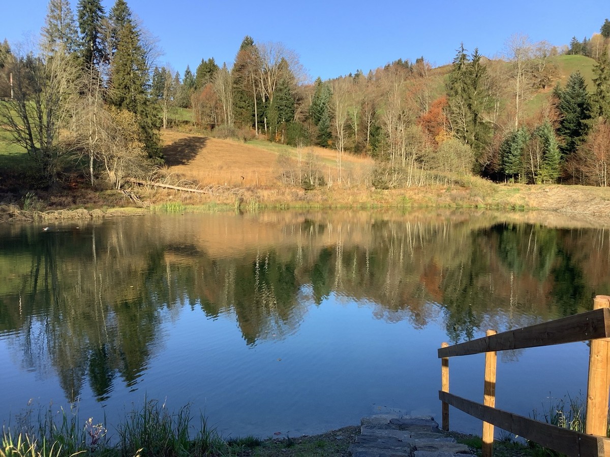 MAZ Medienwoche Wanderung Bachtel