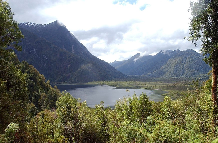 FILE - This undated file photo shows a view of Pumalin Park in the south of Chile. Chilean President Michelle Bachelet signed on Monday, Jan. 29, 2018, decrees creating vast new national parks using l ...