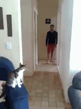 Animiertes GIF