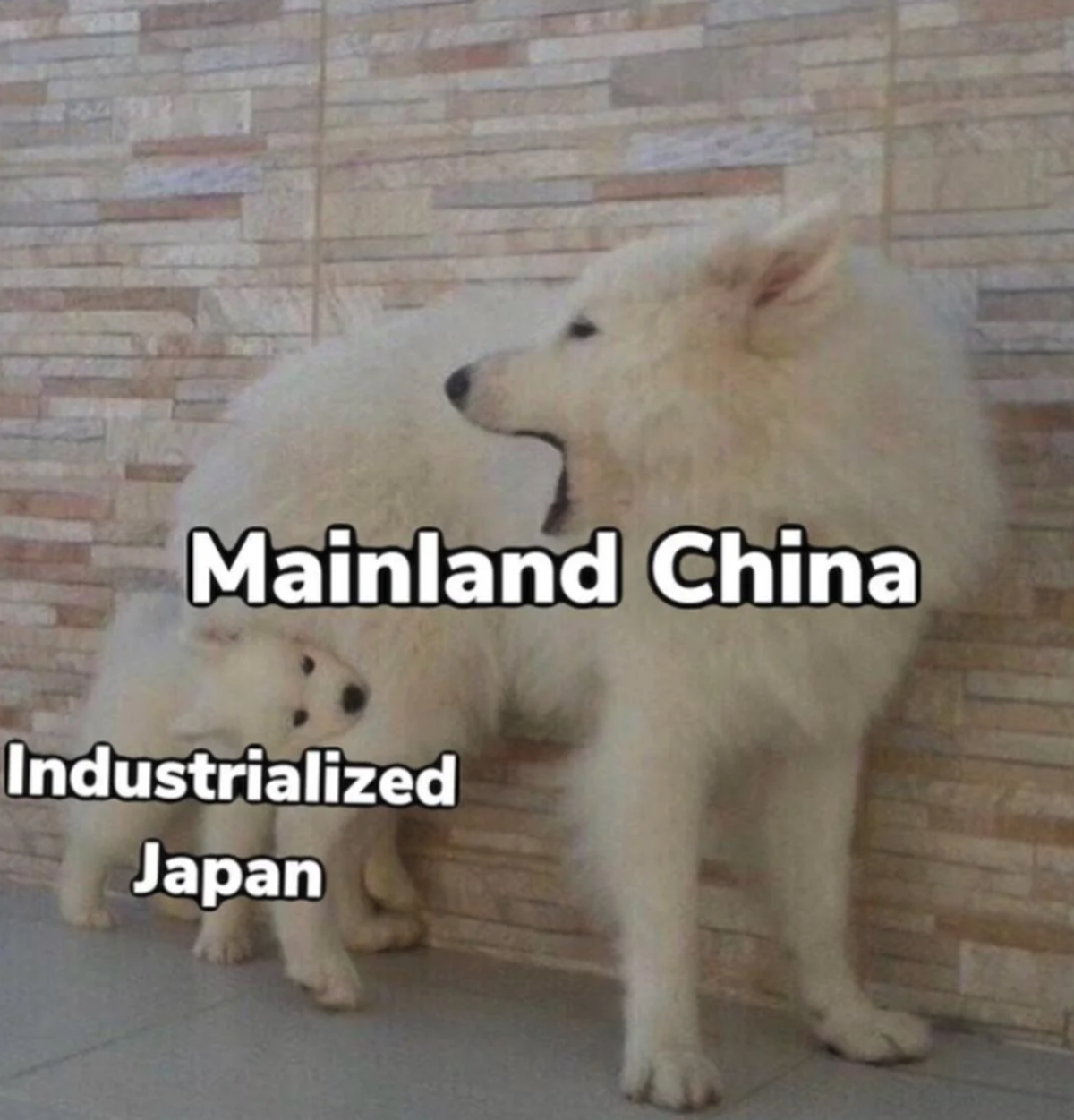 Japan China Meme

https://preview.redd.it/oof-sino-japanese-war-v0-v1slfyyk76g51.jpg?auto=webp&amp;s=f7930d840f9ca23f35f05000c648595a74418f85