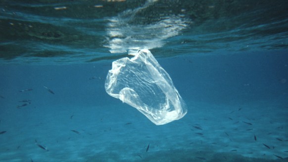 Plastiksack plastic sea mikroplastik micro meer