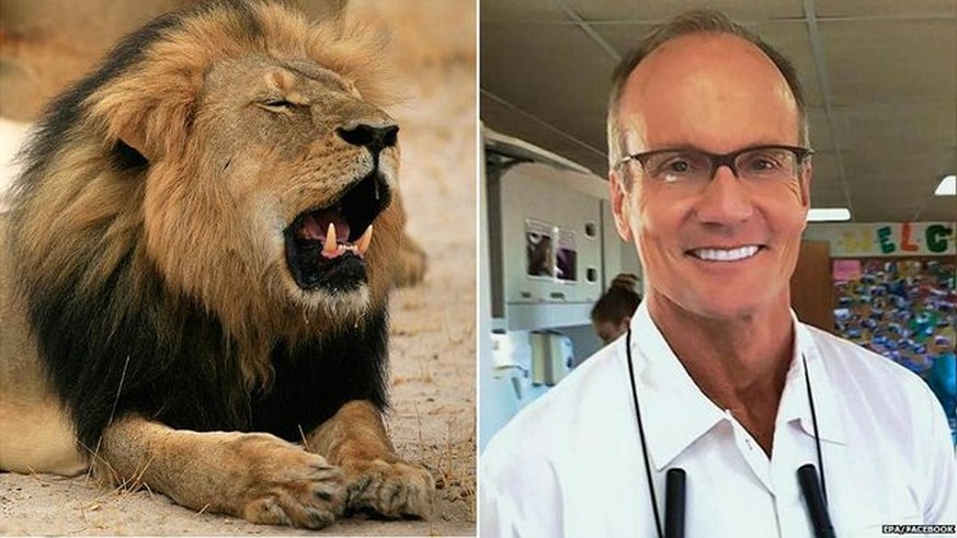«An meine geschätzten Patienten» ... so beginnt die Entschuldigung von Cecil-Mörder Walter Palmer, mit der er seine Zahnarztpraxis retten will