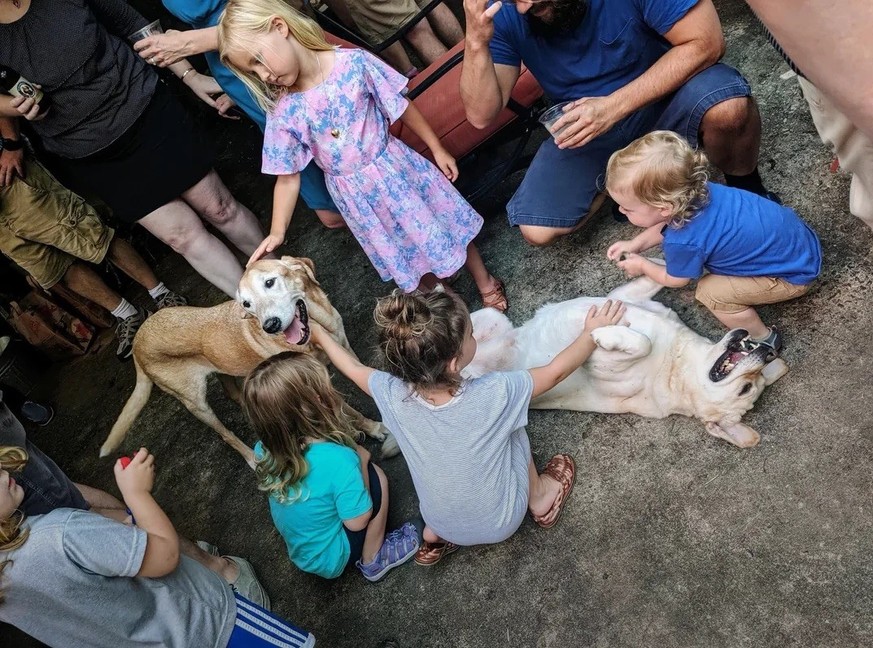 AccidentalRenaissance
Making new friends (backyard BBQ)

https://www.reddit.com/media?url=https%3A%2F%2Fpreview.redd.it%2Fmaking-new-friends-backyard-bbq-v0-1pojr95lv6sg1.png%3Fauto%3Dwebp%26s%3D7a981 ...