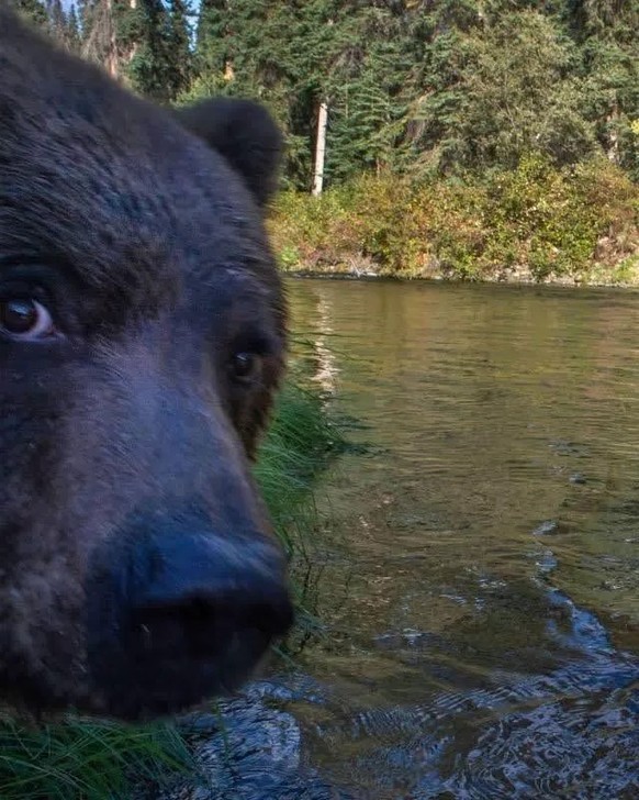 cute news tier bär

https://ch.pinterest.com/pin/836262224600630107/