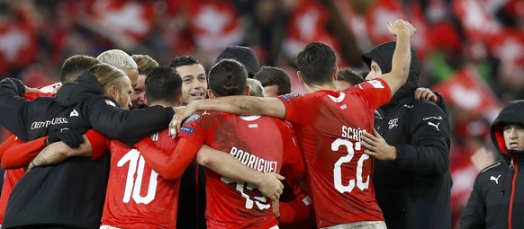 Vladimir Petkovic hat sich mit der Schweiz für die WM 2018 in Russland qualifiziert. Hierfür hat der Coach in 12 Spielen die folgenden 29 Spieler eingesetzt: