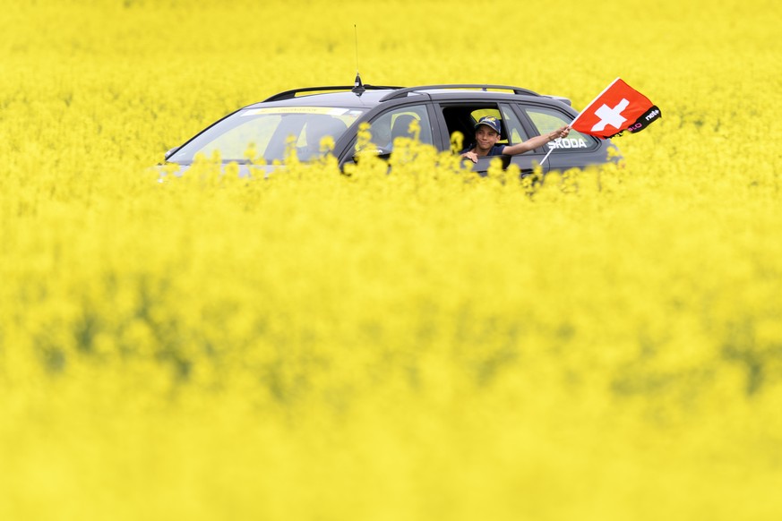 A child waving a Swiss flag through a car window between rapeseed fields with bright-yellow flowers during the fifth and last stage, a 181,8 km race between Mont-sur-Rolle and Geneva during the 72th T ...