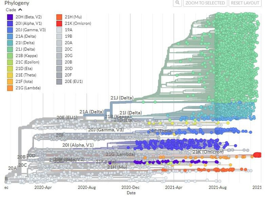 Auf der Plattform Nextstrain sind die Daten zu den Virus-Varianten visuell als phylogenetische Bäume dargestellt. Die roten Punkte unten am rechten Bildrand zeigen die neue Omikron-Variante.
