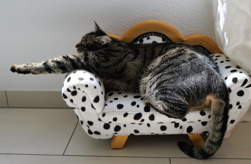 Besser mal hinlegen …