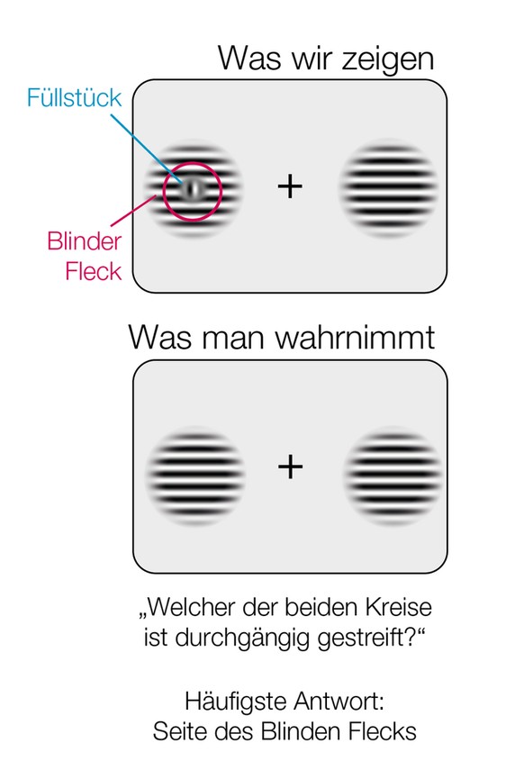 Versuchsanordnung zum Experiment zum Blinden Fleck