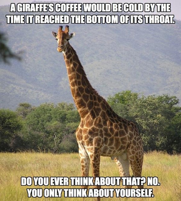 «Trinkt eine Giraffe einen Kaffee, wäre dieser kalt, bis er das untere Ende des Halses erreicht hat. Jemals über das nachgedacht? Nein. Du denkst immer nur an dich.»