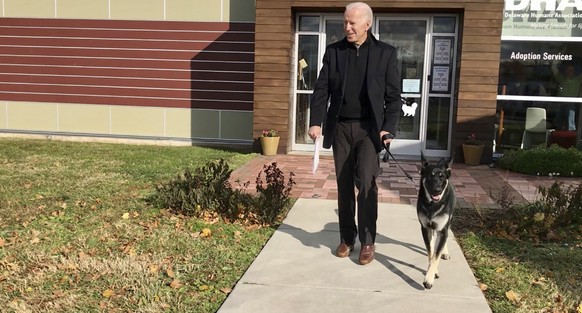FILE - This Nov. 16, 2018, photo, file provided by the Delaware Humane Association shows Joe Biden and his newly-adopted German shepherd Major, in Wilmington, Del. President-elect Biden will likely we ...