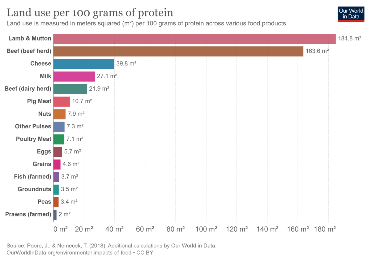 Der Landverbrauch pro 100 Gramm Protein. Mit Shrimps, Bohnen und Nüssen, aber auch mit Eiern und Geflügel kann der Proteinbedarf der Menschheit um ein Vielfaches effizienter gedeckt werden als mit Rin ...