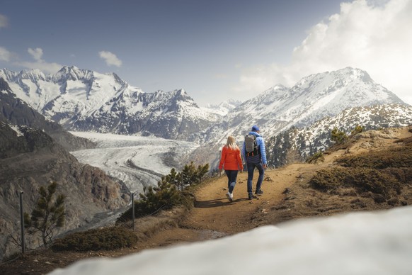 Bergfrühling in der Aletsch Arena