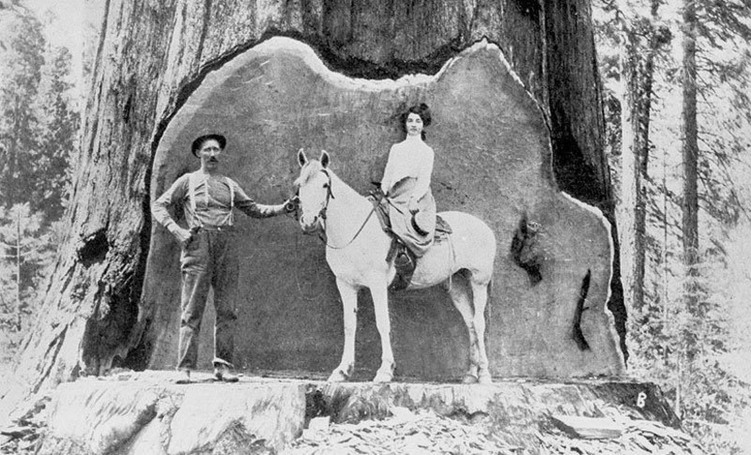 Holzfäller um 1900.