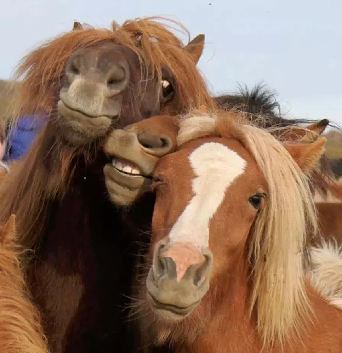cute news süsse tierbilder