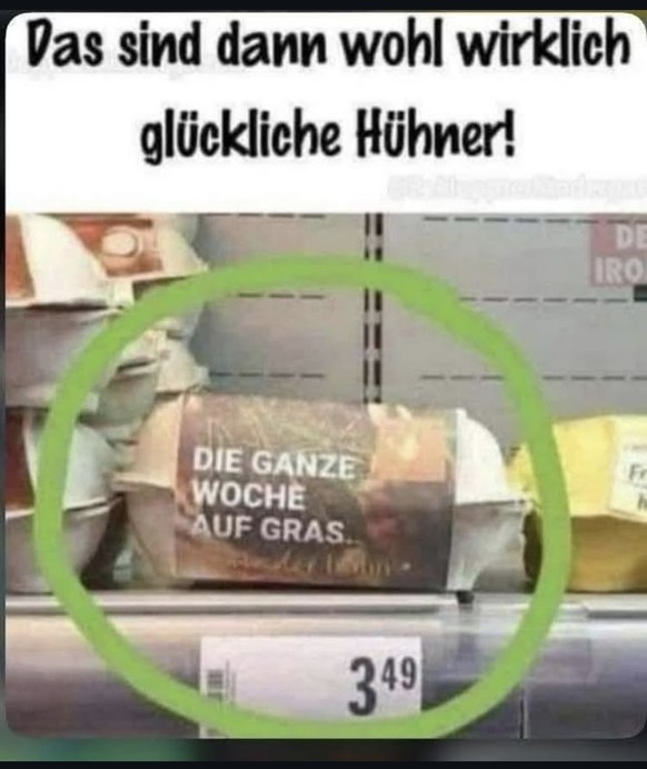 Picdump 169 – mit Memes zurück aus den Ferien \n🌿🐔😄