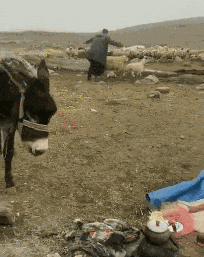 Animiertes GIF