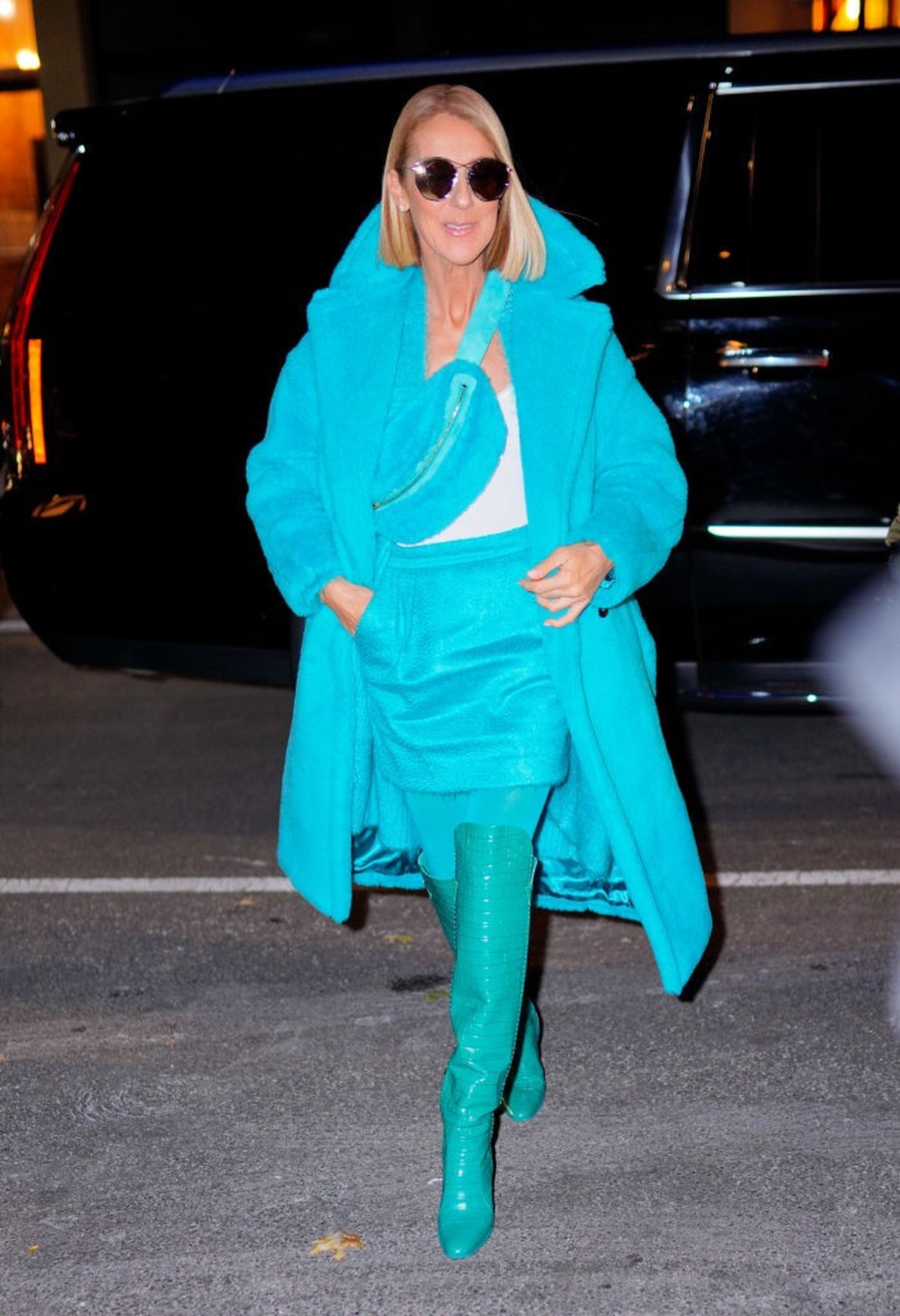 NEW YORK, NEW YORK - NOVEMBER 13: Celine Dion out and about on November 12, 2019 in New York City. (Photo by Gotham/GC Images)
