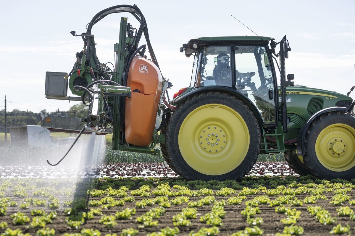 With a field sprayer system, a tractor applies pesticides to a lettuce field on the Gemuese Kaeser &amp; Co. farm in Birmenstorf, Switzerland, photographed on 17 September 2019. An insecticide is supp ...