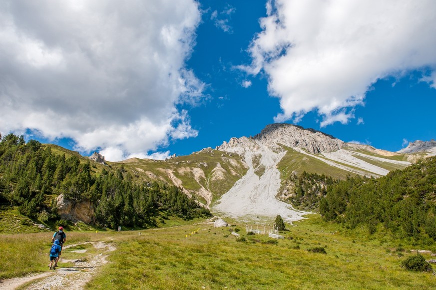 Alp Stabelchod Nationalpark Rauszeit Tierbeobachtungen
