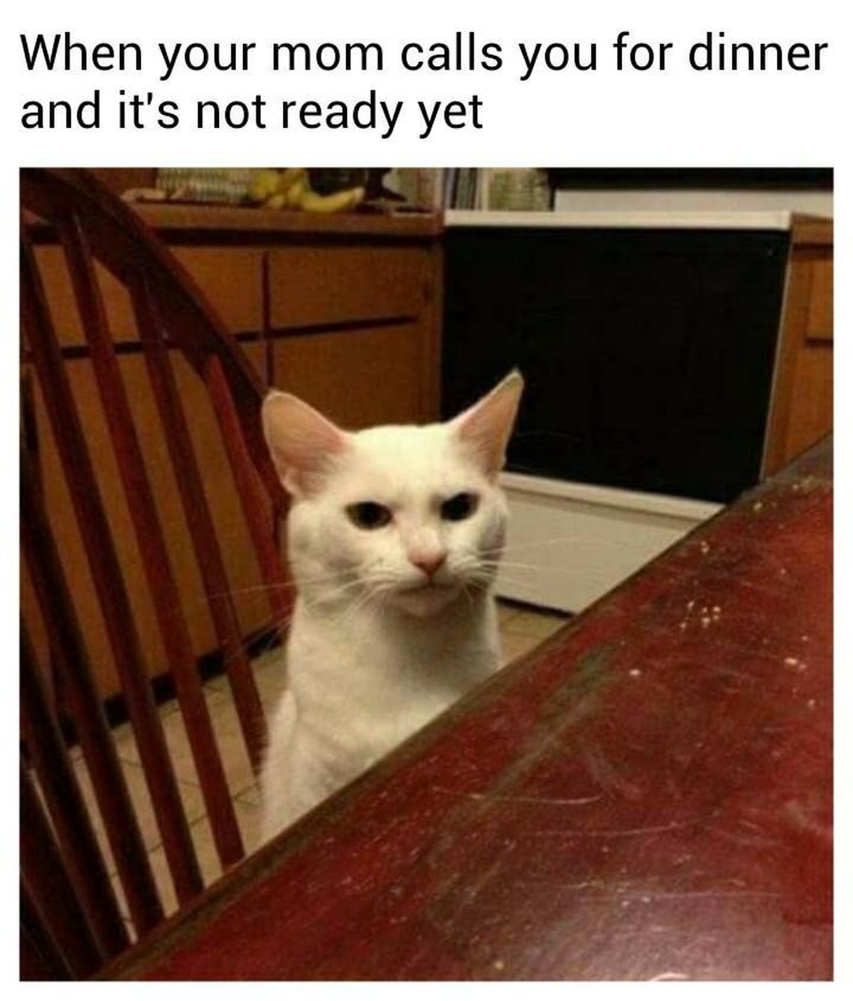 Meme zu Hangry