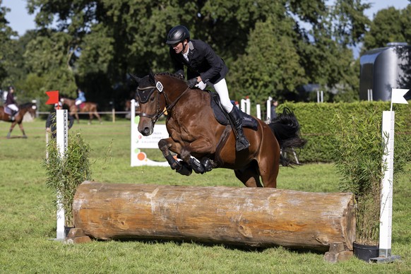 Un cavalier et son cheval saute un obstacle pendant les epreuves qualificatives et finale de saut FM, lors du dernier jour du festival Cheval Passion et des finales des divers concours, a l&#039;insti ...