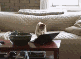 Animiertes GIF
