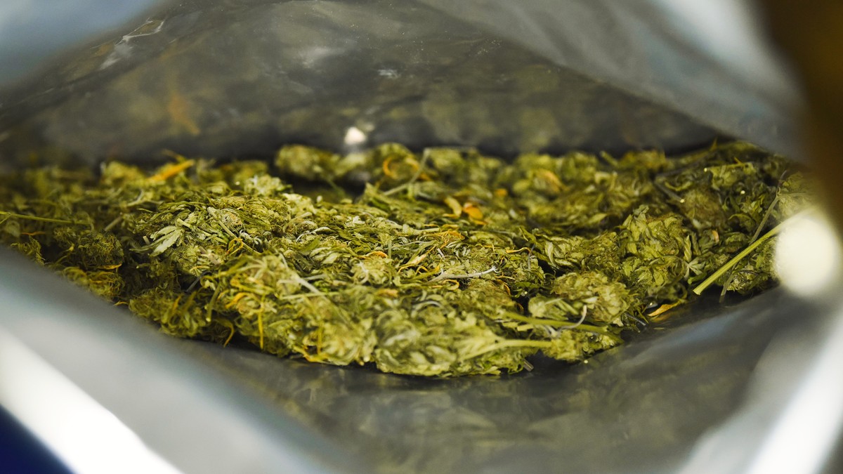Mann-deklariert-am-Zoll-in-Thayngen-SH-117-Kilo-Marihuana-jetzt-hat-er-ein-Problem