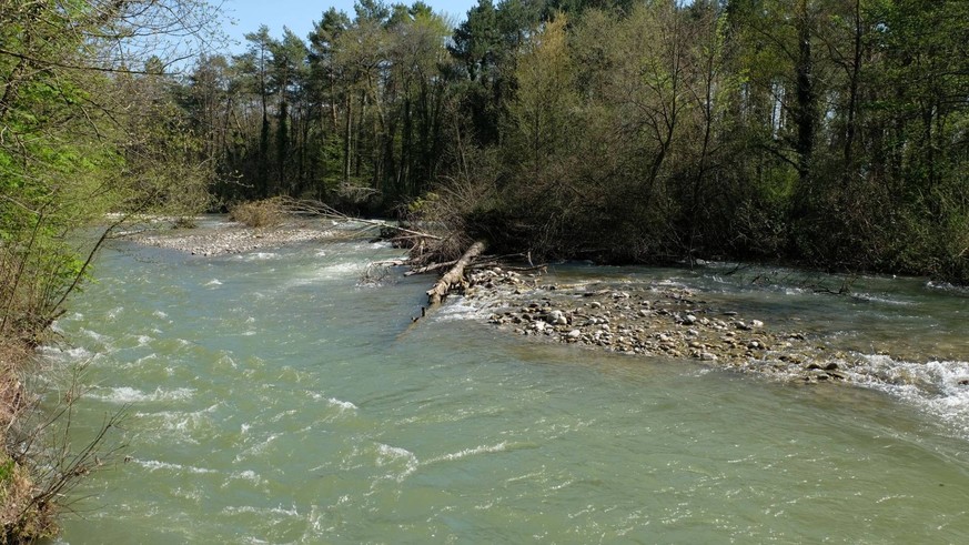 Gewässerperlen Schweiz wilde naturnahe Schweizer Flüsse unberührt Flusswanderungen Rauszeit Aubonne